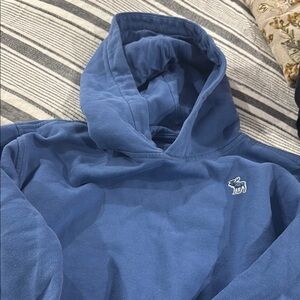 Blue Hoodie Sweatshirt